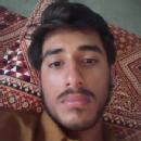Photo of Falak Sher