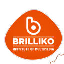 Brilliko Institute IT Courses institute in Hoshiarpur