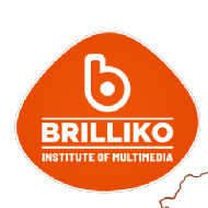 Brilliko Institute Animation & Multimedia institute in Hoshiarpur