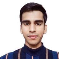 Ankit Kumar Class I-V Tuition trainer in Delhi