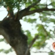 Pobitra Gigoi Class 9 Tuition trainer in Guwahati