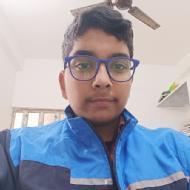 Mayank Class 12 Tuition trainer in Bangalore