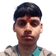 Abhishek Chauhan BSc Tuition trainer in Patiali