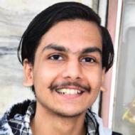 Aaditya Singh Class 8 Tuition trainer in Meerut
