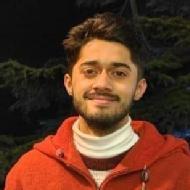 Dixit Sharma Chess trainer in Dehra