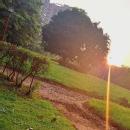 Nitin Pawar Class I-V Tuition trainer in Mumbai