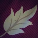 Photo of Orcapod Institute