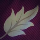 Orcapod Institute photo