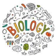 Supriya S. CET trainer in Baghamari