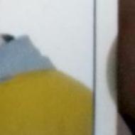 Rajeshwari S. Class 11 Tuition trainer in Bhopal