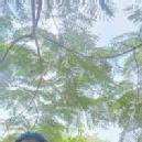 Photo of Mungi N.