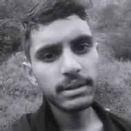 Rahul Thakreta Class 12 Tuition trainer in Jubbal