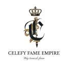 Photo of Celefy Fame School Of Music