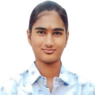 Lalita P. Class 12 Tuition trainer in Sujangarh