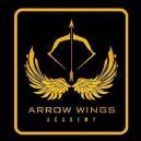 Arrow Wings Academy photo