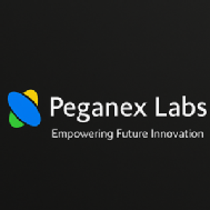 Pega Nex Labs PEGA institute in Hyderabad
