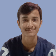 Anish Garg Kids Coding trainer in Jaipur