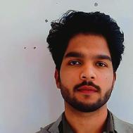 Sandeep Kumar Class I-V Tuition trainer in Sitapur