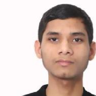 Prateek Pandey Class 12 Tuition trainer in Delhi