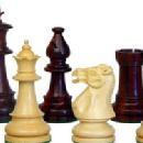 Photo of Karnataka School of Chess