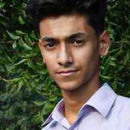 Vanshdaroch Class 12 Tuition trainer in Amb