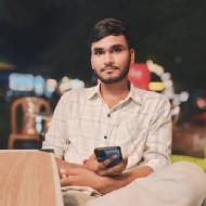 Shivam Bhaskar Nursery-KG Tuition trainer in Lucknow