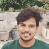 Raja Kumar Class 8 Tuition trainer in Patna