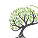 Brainstitute Coaching Centre photo