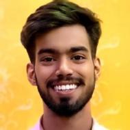 Ayush Kumar Singh Data Analytics trainer in Ghaziabad