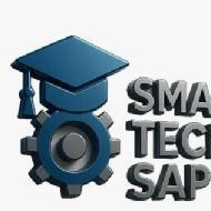 Smart Tech SAP Academy SAP HANA institute in Bhubaneswar