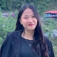 Limugha A. Class I-V Tuition trainer in Kohima