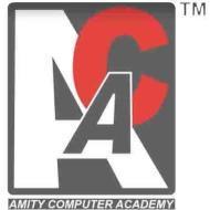 Amity Computer Academy institute in Delhi