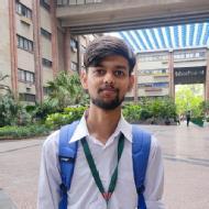 Varnit Kumar Bansal Class I-V Tuition trainer in Delhi