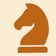 Chess Vision Academy Chess institute in Silchar
