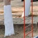 Photo of Madhumita