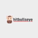 Photo of Hitbullseye
