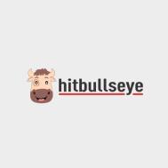 Hitbullseye MBA institute in Chandigarh