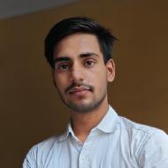 Vijay Pratap Singh Teacher trainer in Hardoi