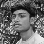Anish Dutta Class I-V Tuition trainer in Bongaon