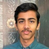 Ankit Graphic Designing trainer in Delhi