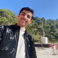 Ankit Graphic Designing trainer in Delhi