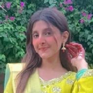 Syed A. Class 8 Tuition trainer in Agra