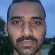 Anshuman Tripathy BSc Tuition trainer in Basudevpur