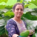 Photo of Thilakavathi K.