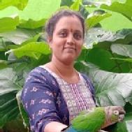 Thilakavathi K. Class I-V Tuition trainer in Chennai