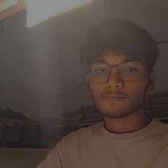 Raja Kumar Class I-V Tuition trainer in Patna