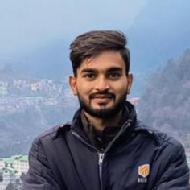 Kartik Meena Hindi Language trainer in Baran