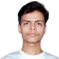 Soumay Vashisth Class 12 Tuition trainer in Bahadurgarh