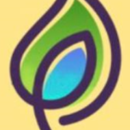 Whitekraaft Solutions Class I-V Tuition institute in Hyderabad