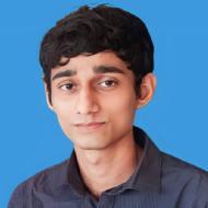 Ravikant Bharti Class 12 Tuition trainer in Amer